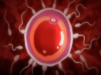 Thumbnail of post image 040