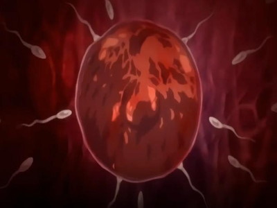 Thumbnail of post image 096